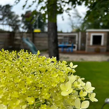 Dom wakacyjny Patio *