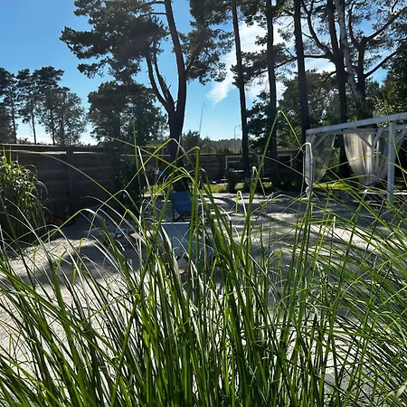 Patio דאובקי