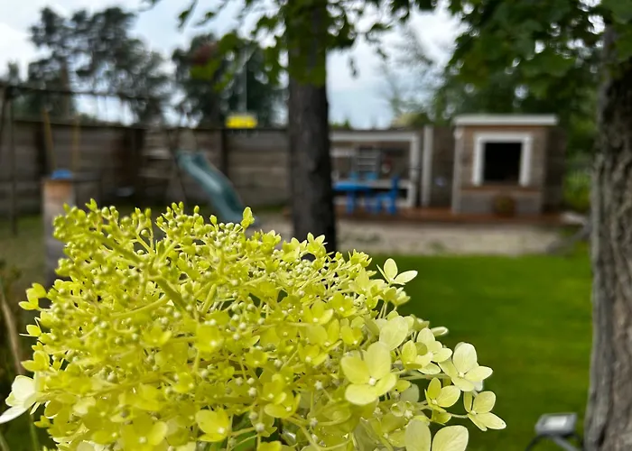 Дом отдыха Patio *