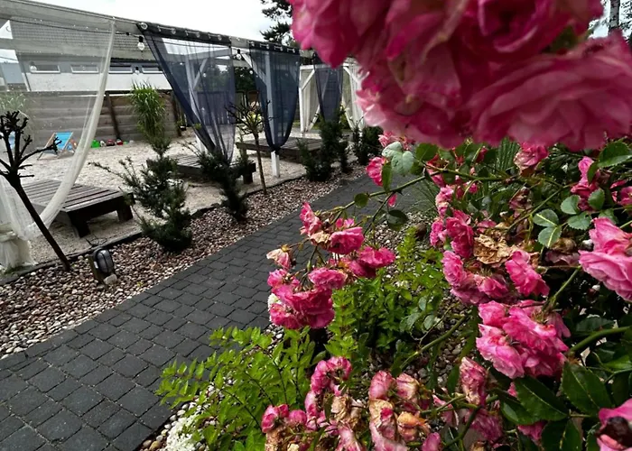 Patio Дом отдыха *